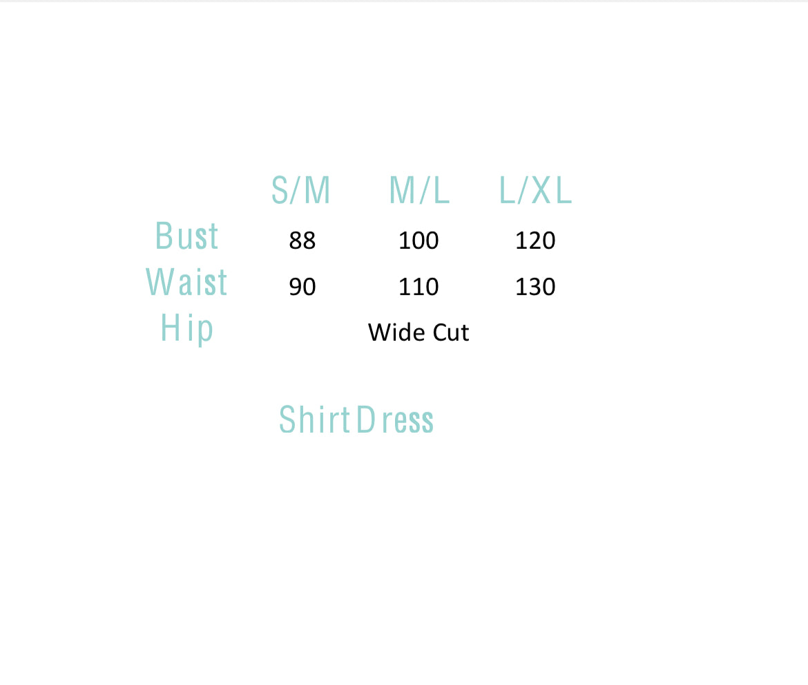 Shirt dress