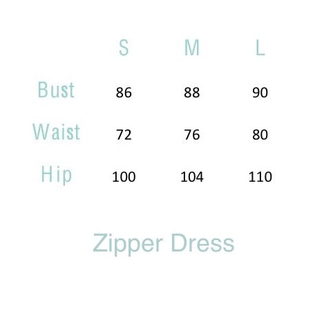 Zipper Dress